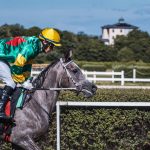 为什么要关注赌博的社会影响？-戒赌论坛-戒赌社区-戒赌吧