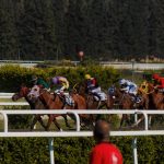 成功戒赌者的心理策略是什么？-戒赌论坛-戒赌社区-戒赌吧